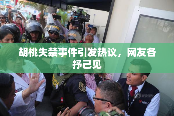 胡桃失禁事件引发热议，网友各抒己见