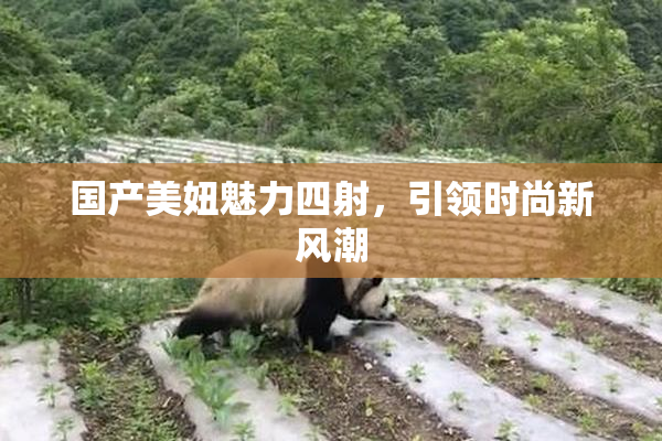 国产美妞魅力四射，引领时尚新风潮