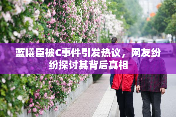 蓝曦臣被C事件引发热议，网友纷纷探讨其背后真相