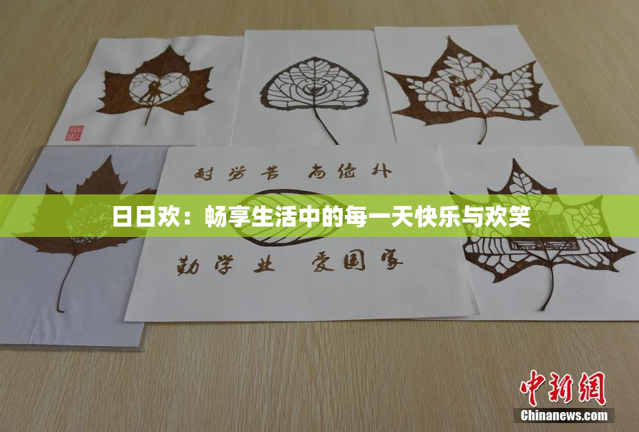日日欢：畅享生活中的每一天快乐与欢笑