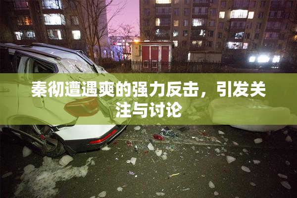 秦彻遭遇爽的强力反击，引发关注与讨论