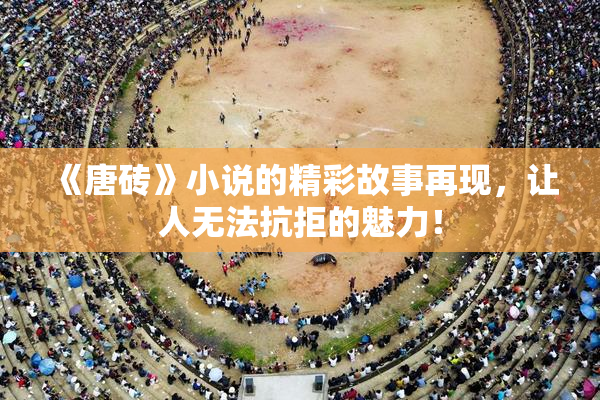 《唐砖》小说的精彩故事再现，让人无法抗拒的魅力！