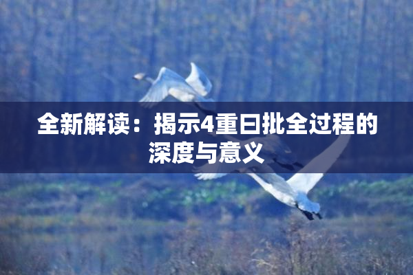 全新解读：揭示4重曰批全过程的深度与意义