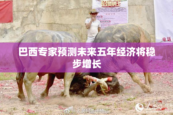 巴西专家预测未来五年经济将稳步增长