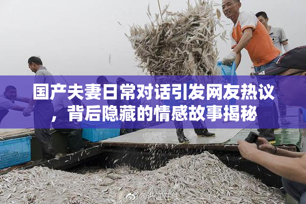 国产夫妻日常对话引发网友热议，背后隐藏的情感故事揭秘