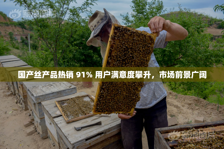 国产丝产品热销 91% 用户满意度攀升，市场前景广阔