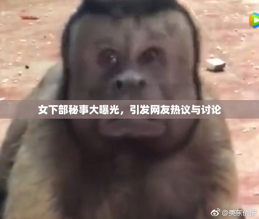 女下部秘事大曝光，引发网友热议与讨论