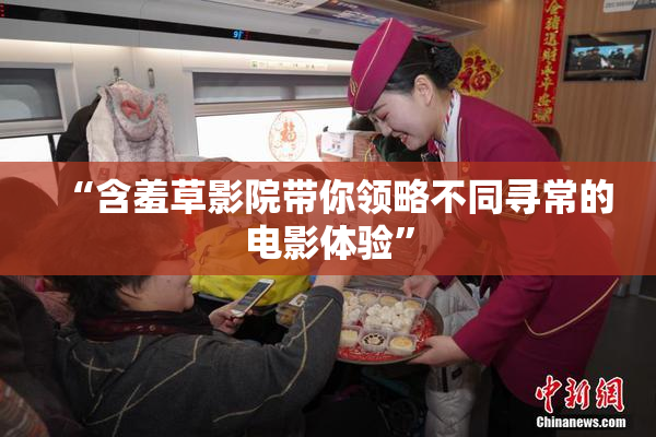 “含羞草影院带你领略不同寻常的电影体验”