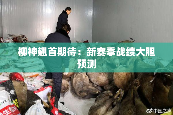柳神翘首期待：新赛季战绩大胆预测