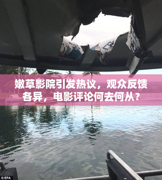 嫩草影院引发热议，观众反馈各异，电影评论何去何从？