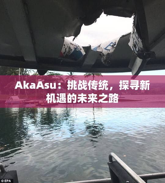 AkaAsu：挑战传统，探寻新机遇的未来之路