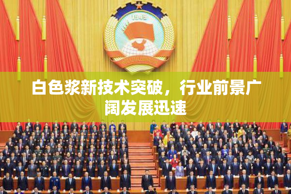 白色浆新技术突破，行业前景广阔发展迅速