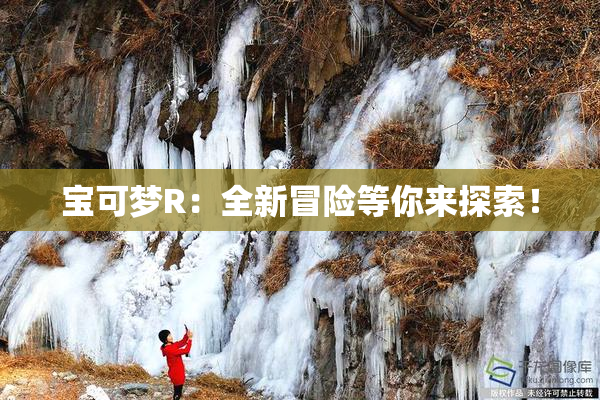 宝可梦R：全新冒险等你来探索！