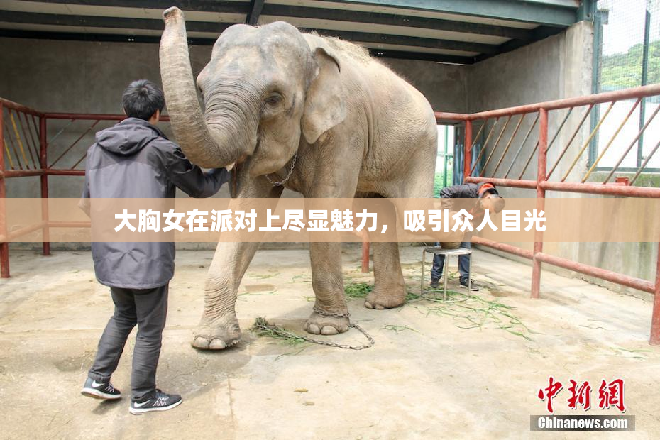 大胸女在派对上尽显魅力，吸引众人目光
