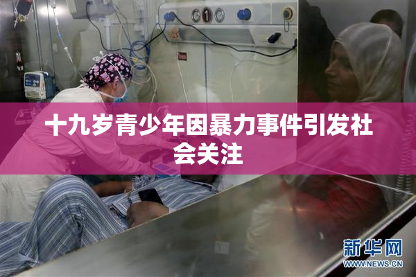 十九岁青少年因暴力事件引发社会关注