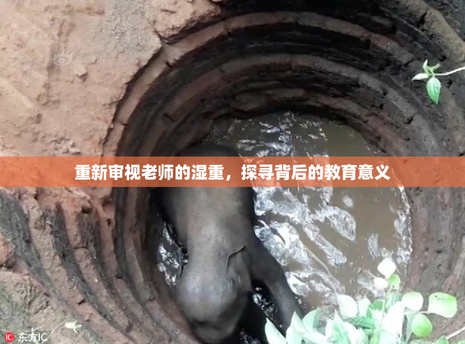 重新审视老师的湿重，探寻背后的教育意义