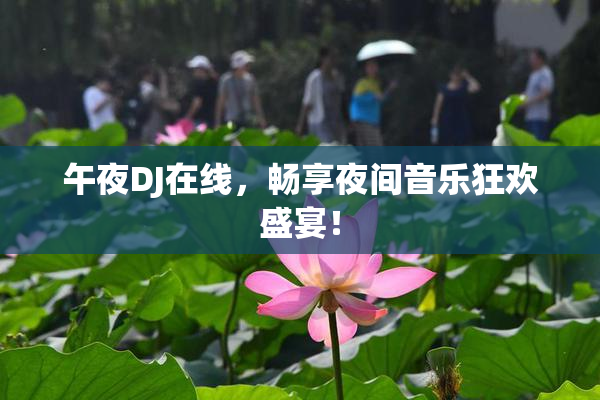 午夜DJ在线，畅享夜间音乐狂欢盛宴！