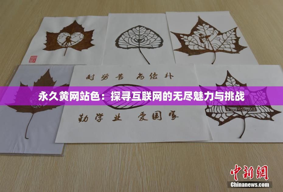 永久黄网站色：探寻互联网的无尽魅力与挑战