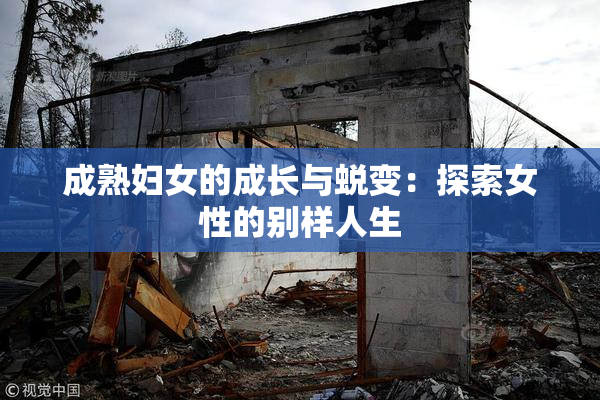 成熟妇女的成长与蜕变：探索女性的别样人生