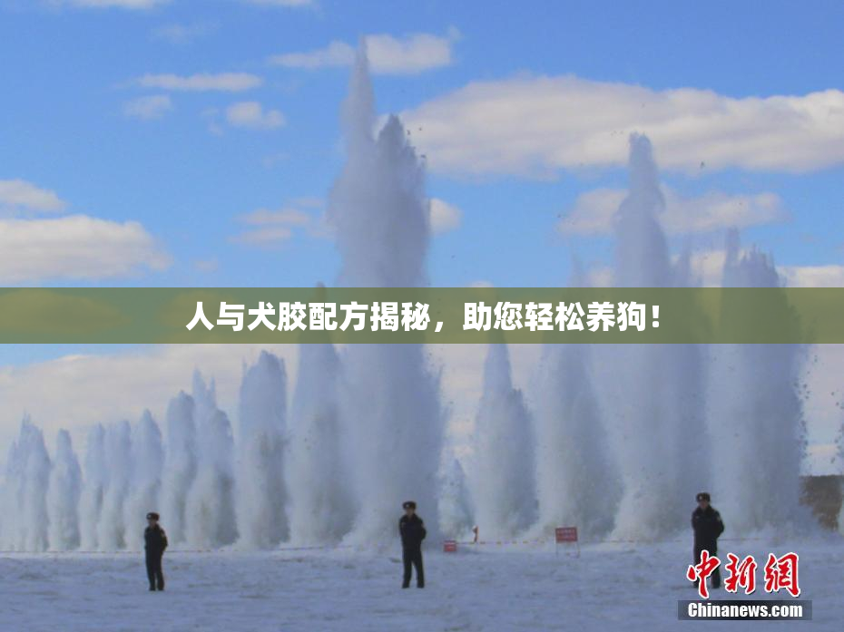 人与犬胶配方揭秘，助您轻松养狗！