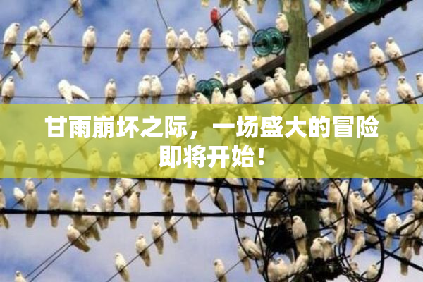 甘雨崩坏之际，一场盛大的冒险即将开始！