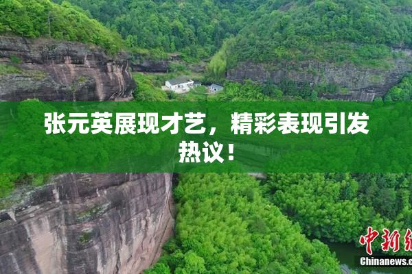 张元英展现才艺，精彩表现引发热议！