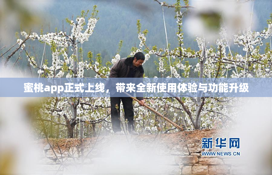 蜜桃app正式上线，带来全新使用体验与功能升级