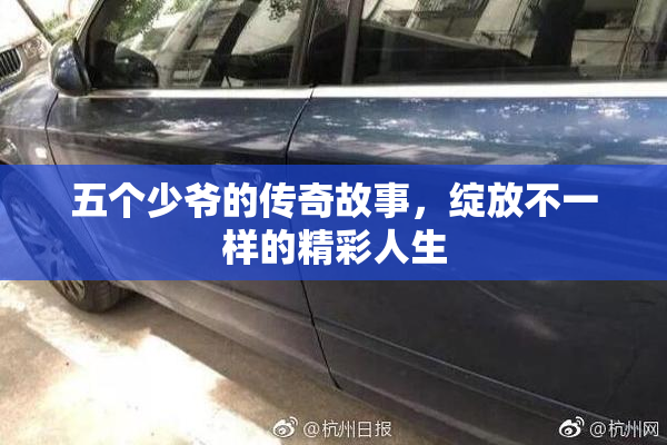 五个少爷的传奇故事，绽放不一样的精彩人生