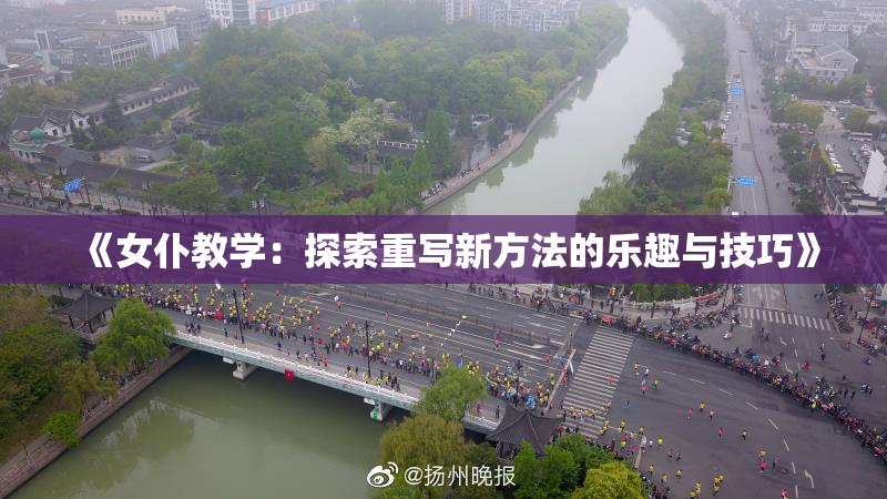 《女仆教学：探索重写新方法的乐趣与技巧》