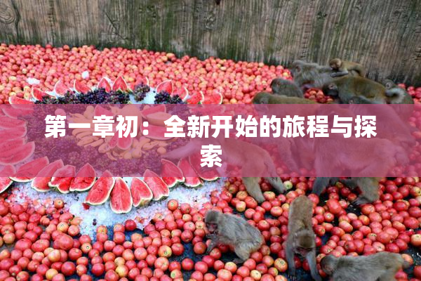 第一章初：全新开始的旅程与探索
