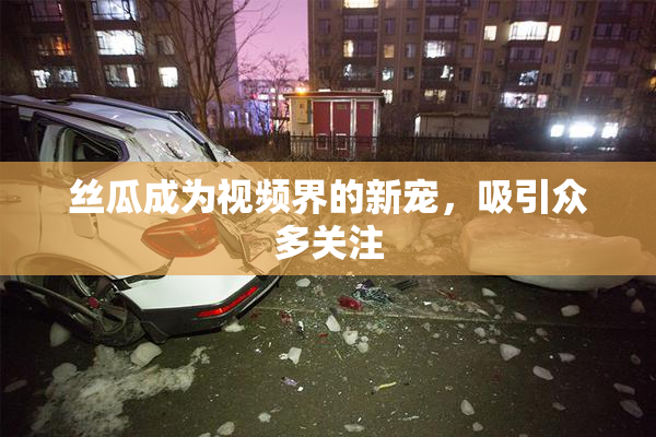 丝瓜成为视频界的新宠，吸引众多关注