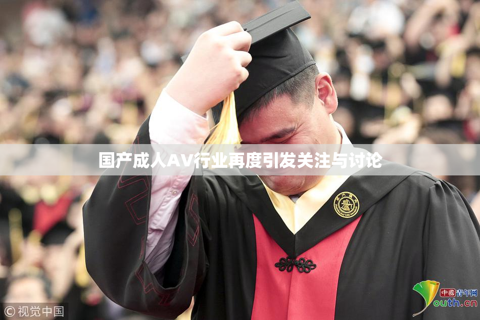 国产成人AV行业再度引发关注与讨论