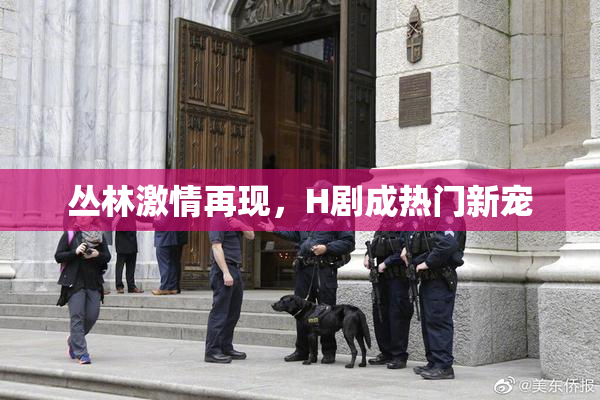 丛林激情再现，H剧成热门新宠