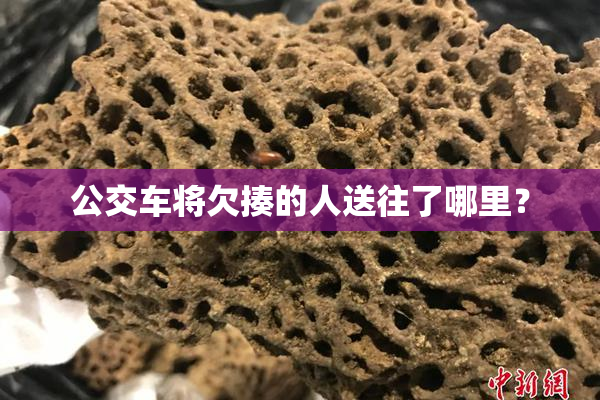 公交车将欠揍的人送往了哪里？