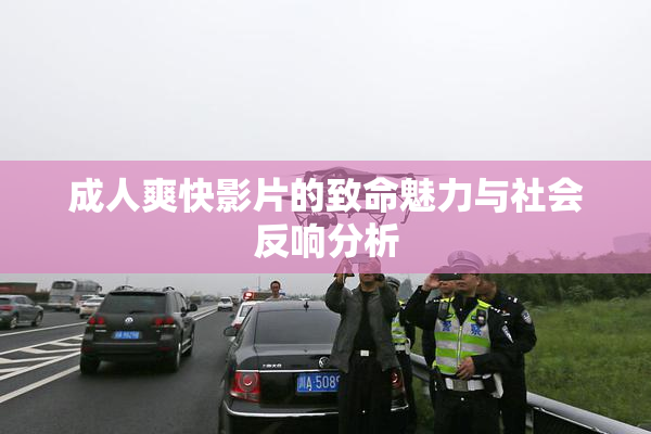 成人爽快影片的致命魅力与社会反响分析