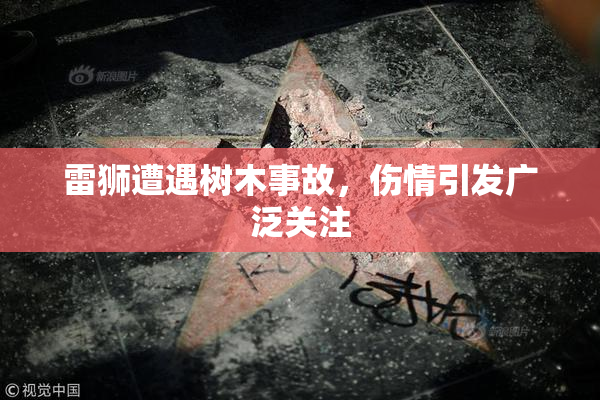 雷狮遭遇树木事故，伤情引发广泛关注