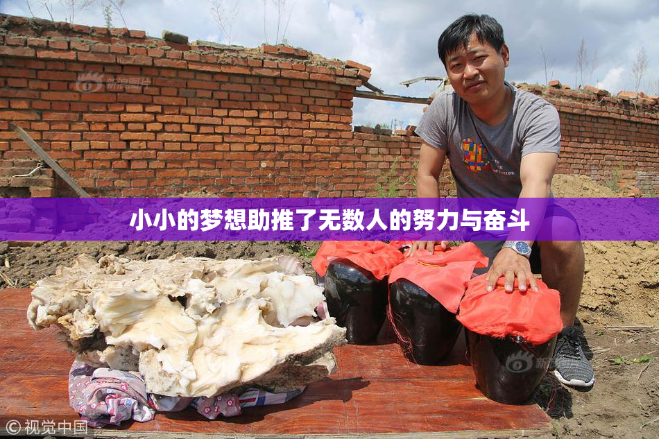 小小的梦想助推了无数人的努力与奋斗