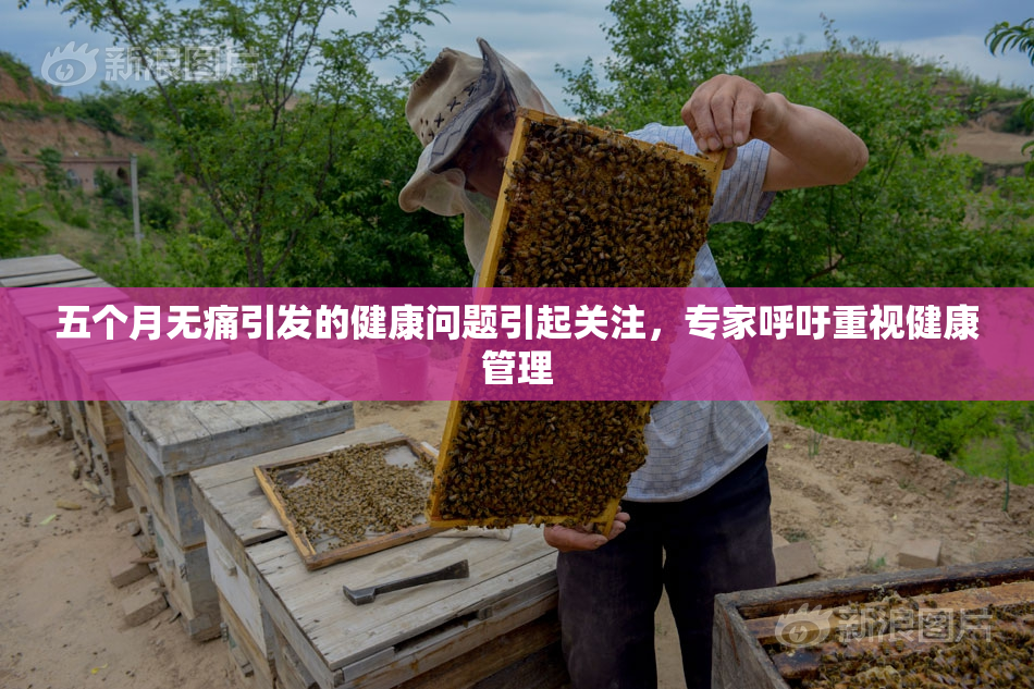 五个月无痛引发的健康问题引起关注，专家呼吁重视健康管理