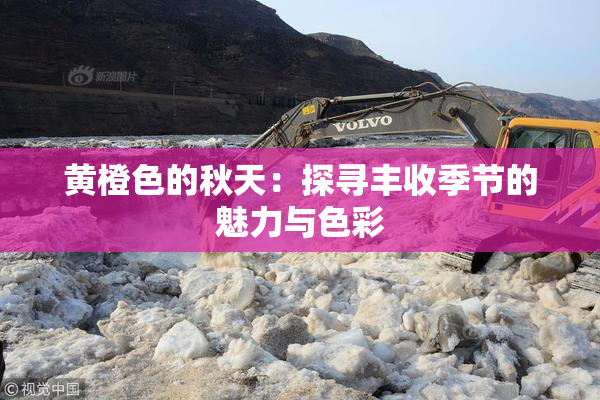 黄橙色的秋天：探寻丰收季节的魅力与色彩
