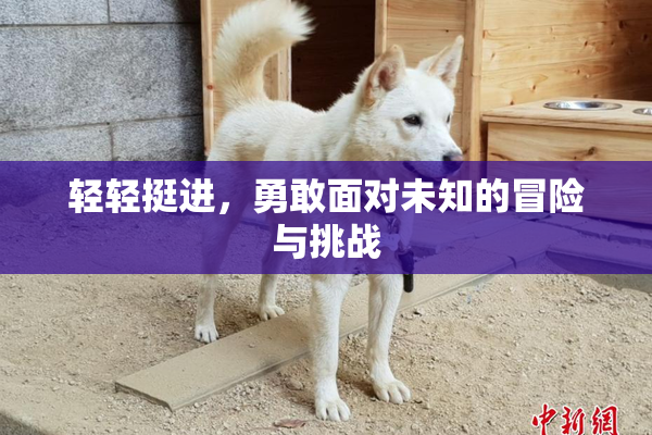 轻轻挺进，勇敢面对未知的冒险与挑战