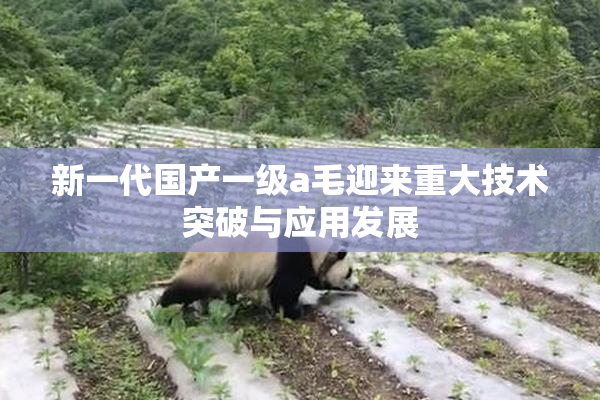 新一代国产一级a毛迎来重大技术突破与应用发展