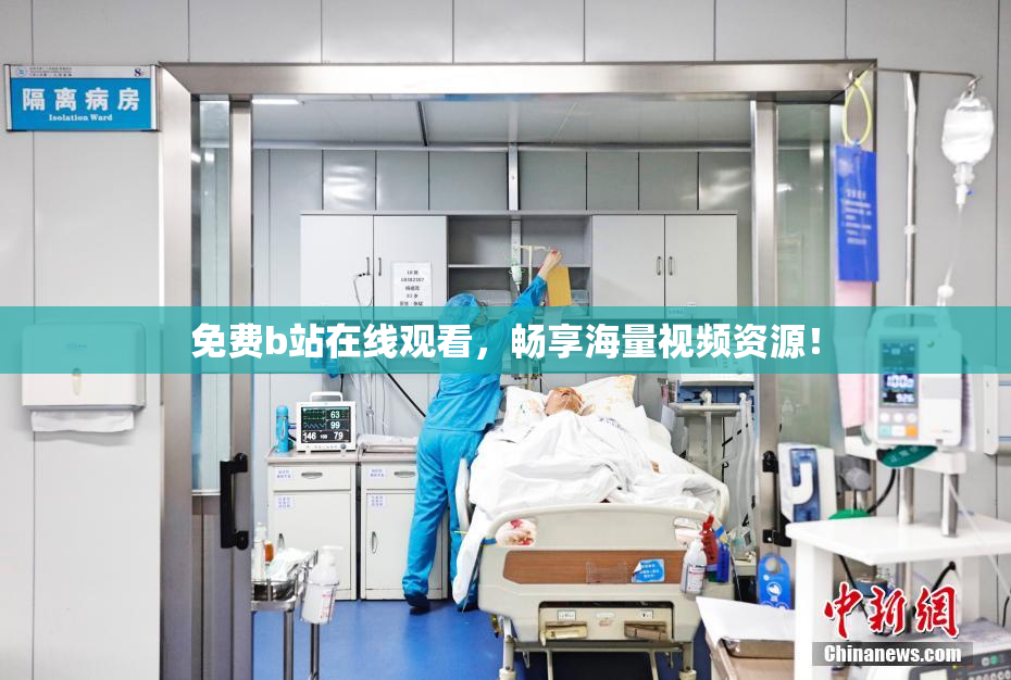 免费b站在线观看，畅享海量视频资源！