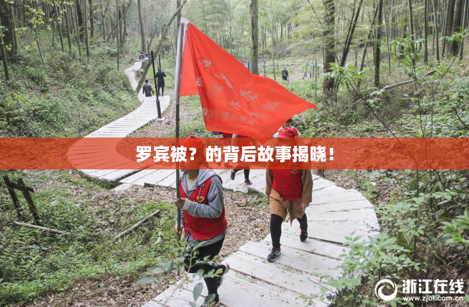 罗宾被？的背后故事揭晓！