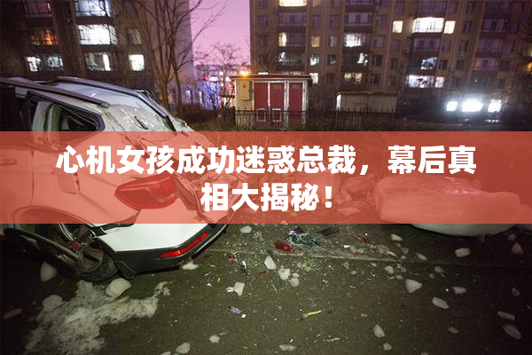 心机女孩成功迷惑总裁，幕后真相大揭秘！