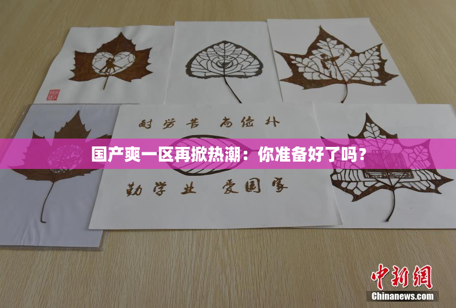 国产爽一区再掀热潮：你准备好了吗？
