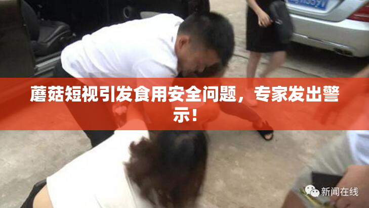 蘑菇短视引发食用安全问题，专家发出警示！