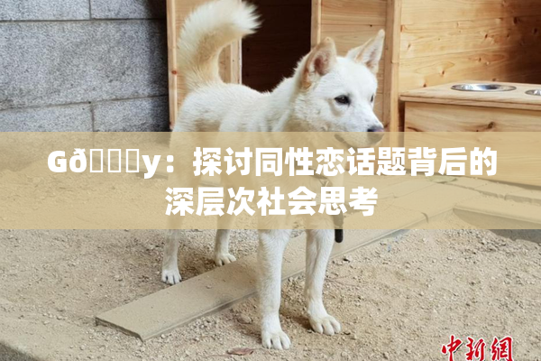 G🈚y：探讨同性恋话题背后的深层次社会思考