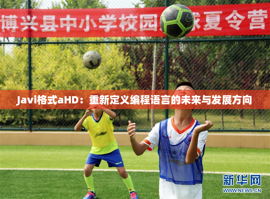 Javi格式aHD：重新定义编程语言的未来与发展方向
