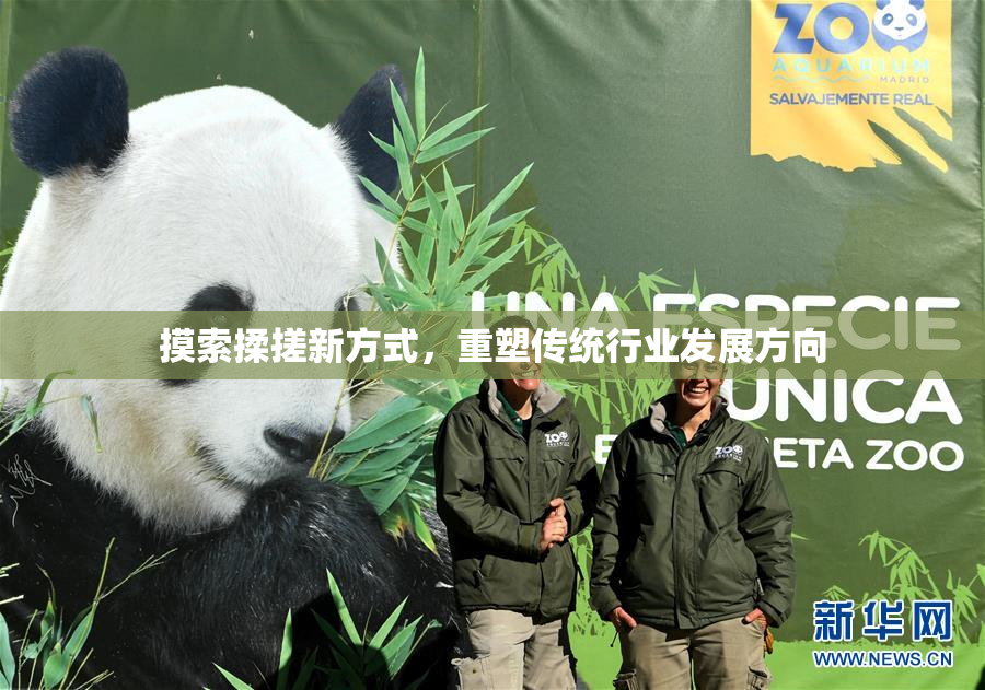 摸索揉搓新方式，重塑传统行业发展方向
