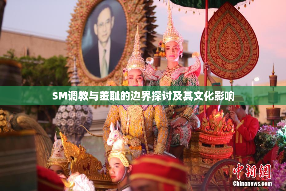 SM调教与羞耻的边界探讨及其文化影响